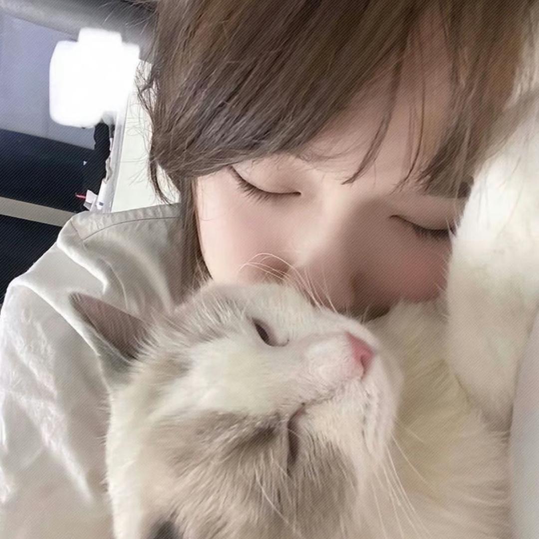 小猫心事