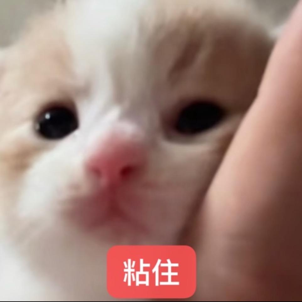 竿