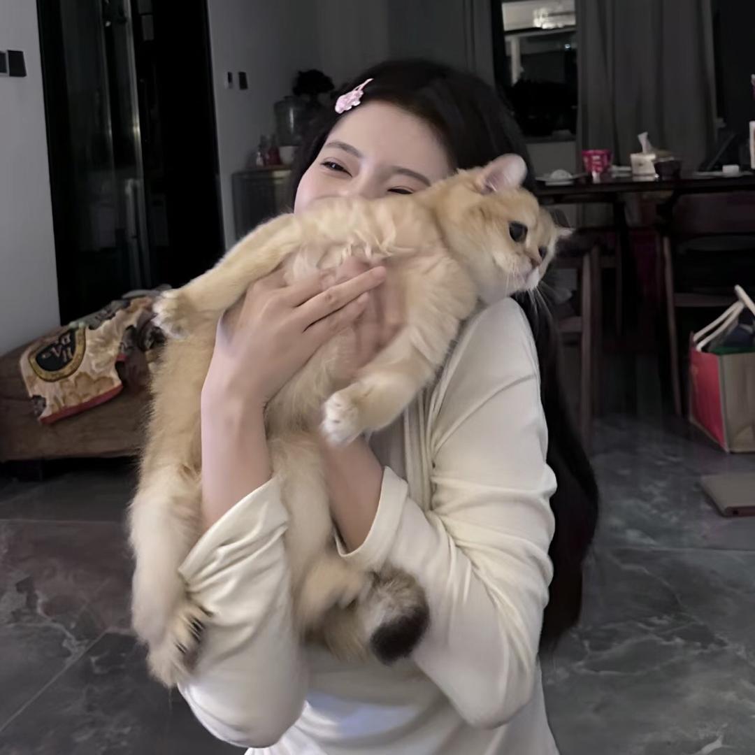 半只橙橙