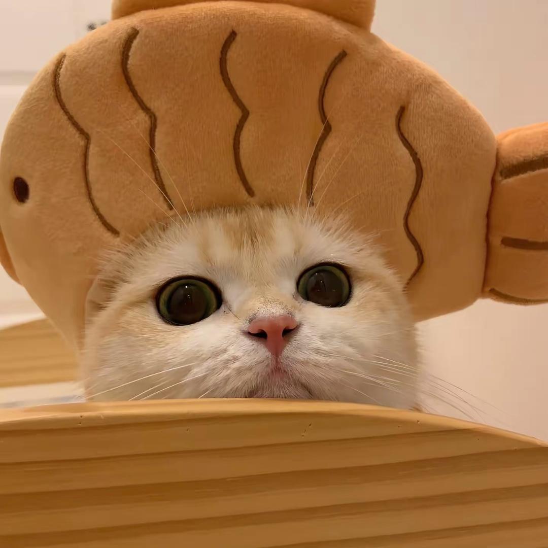 一淼