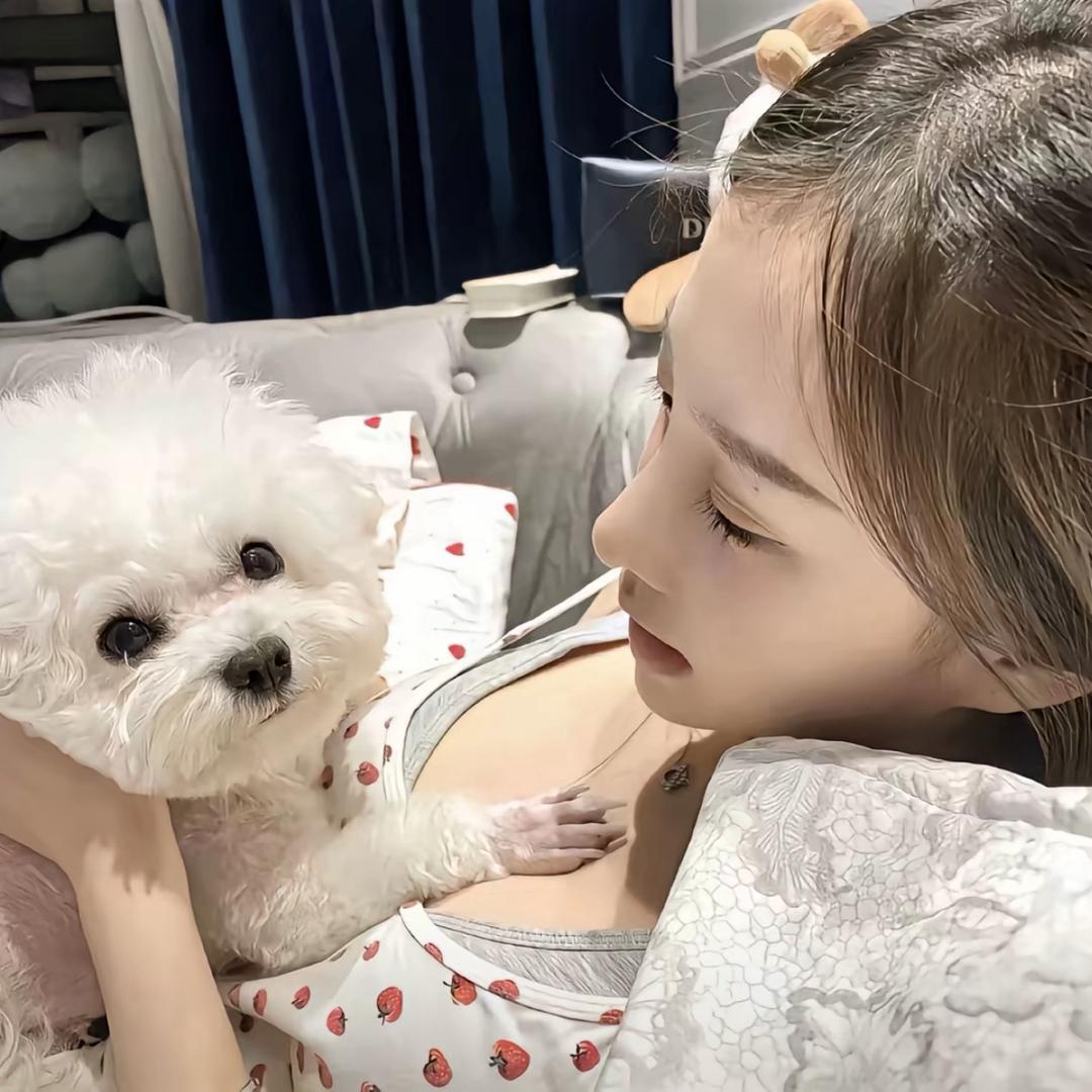 缺钙的慢羊羊🐑
