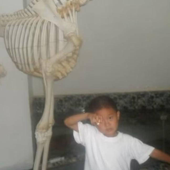 折耳根吃小鱼