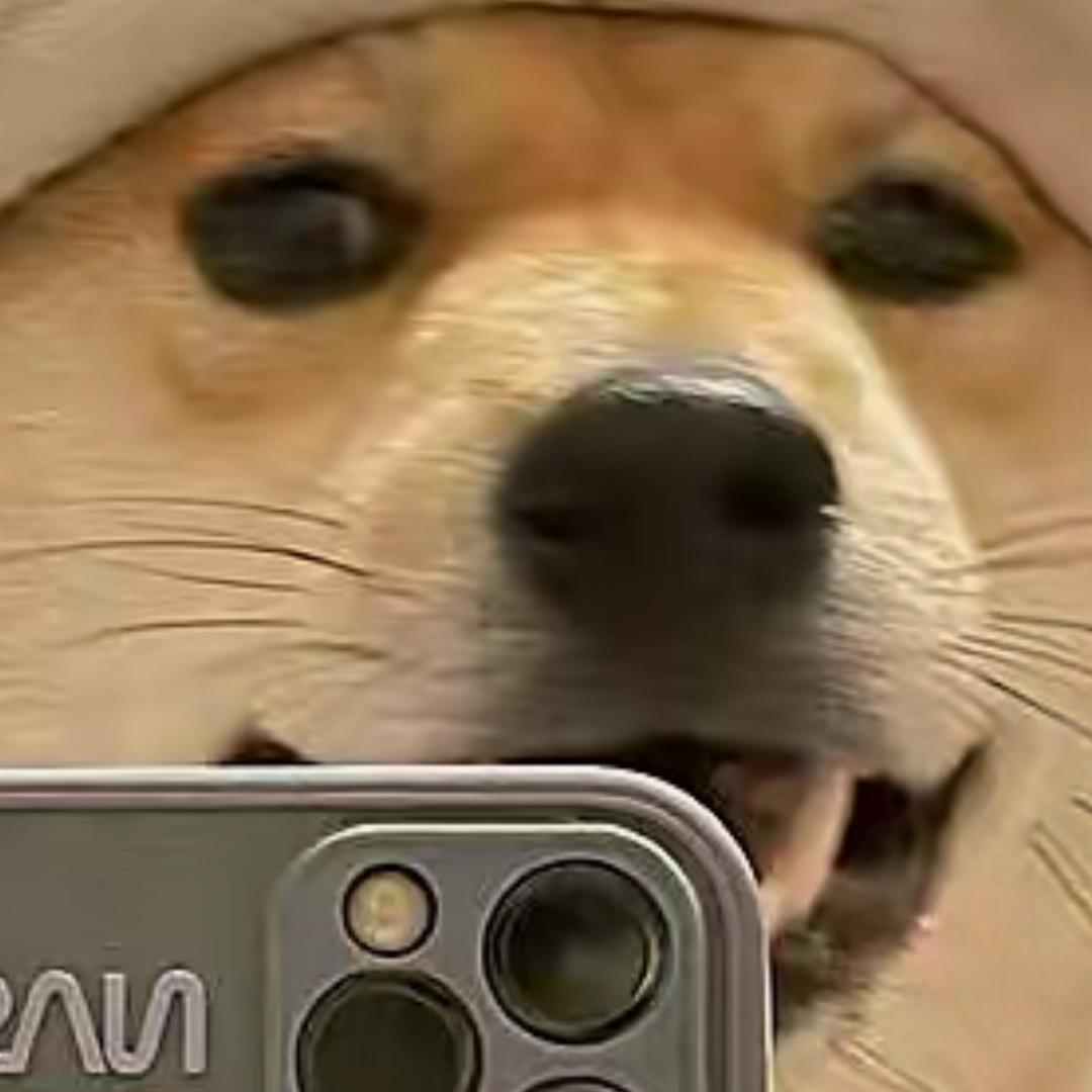 盖世汤圆