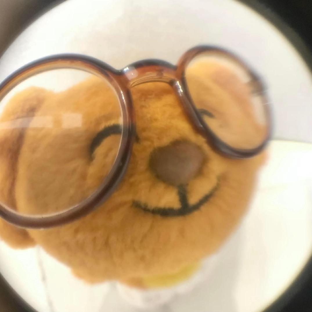 翠丝
