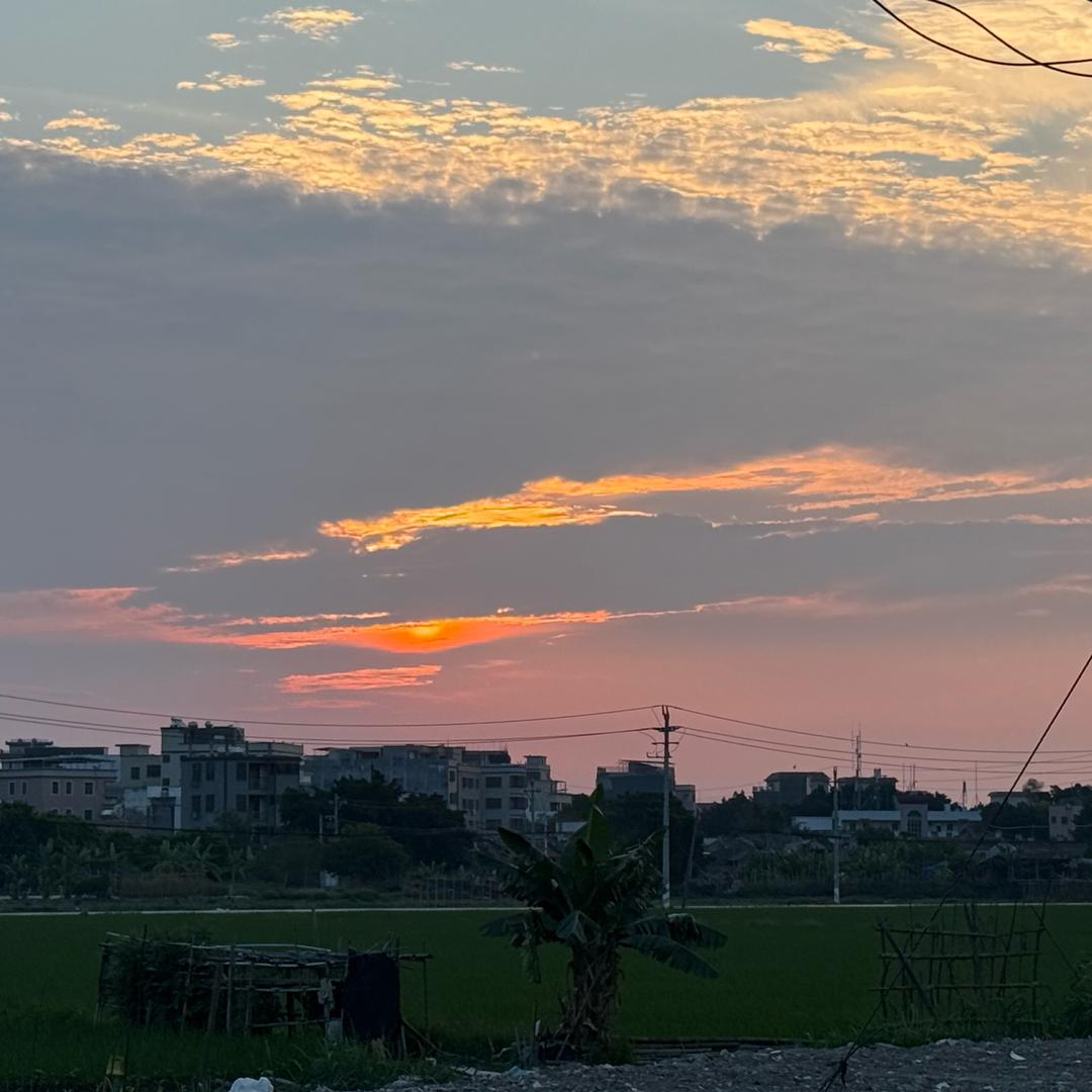 菜菜~