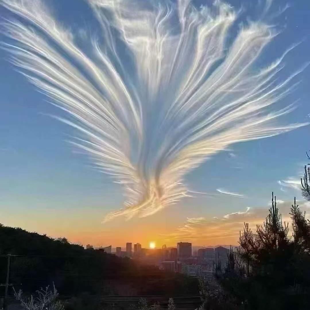 Z..