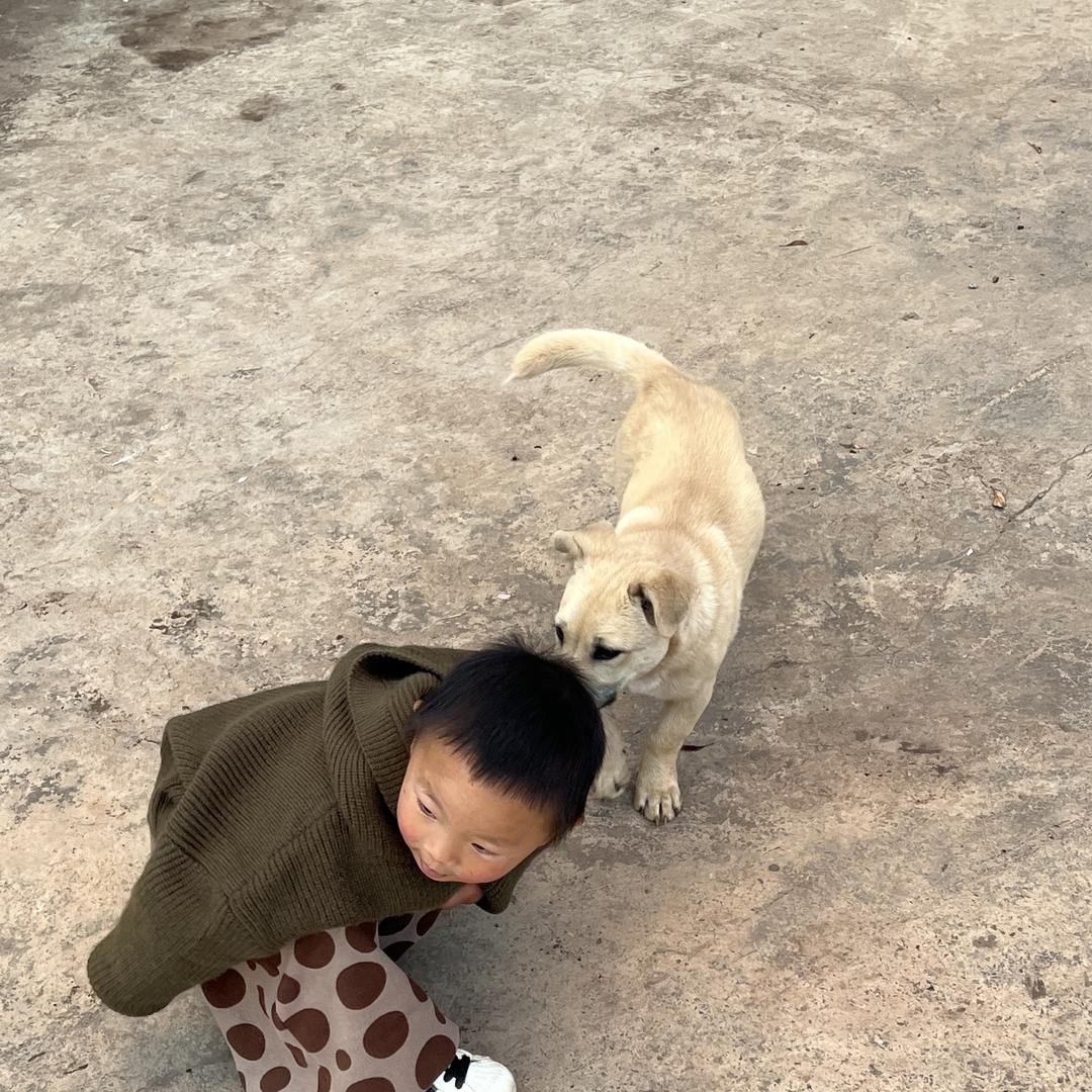 森财童装