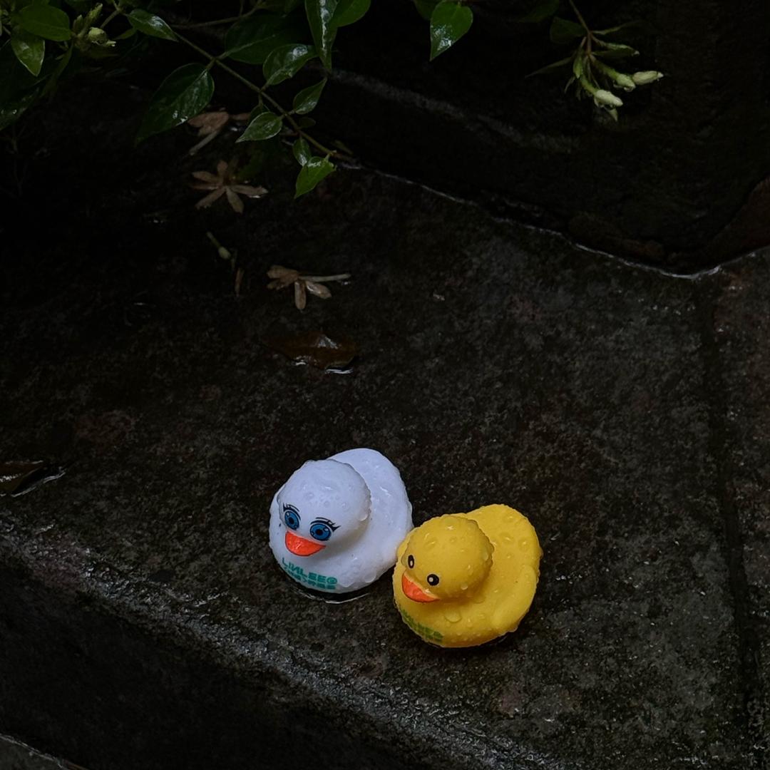 大土豆雷