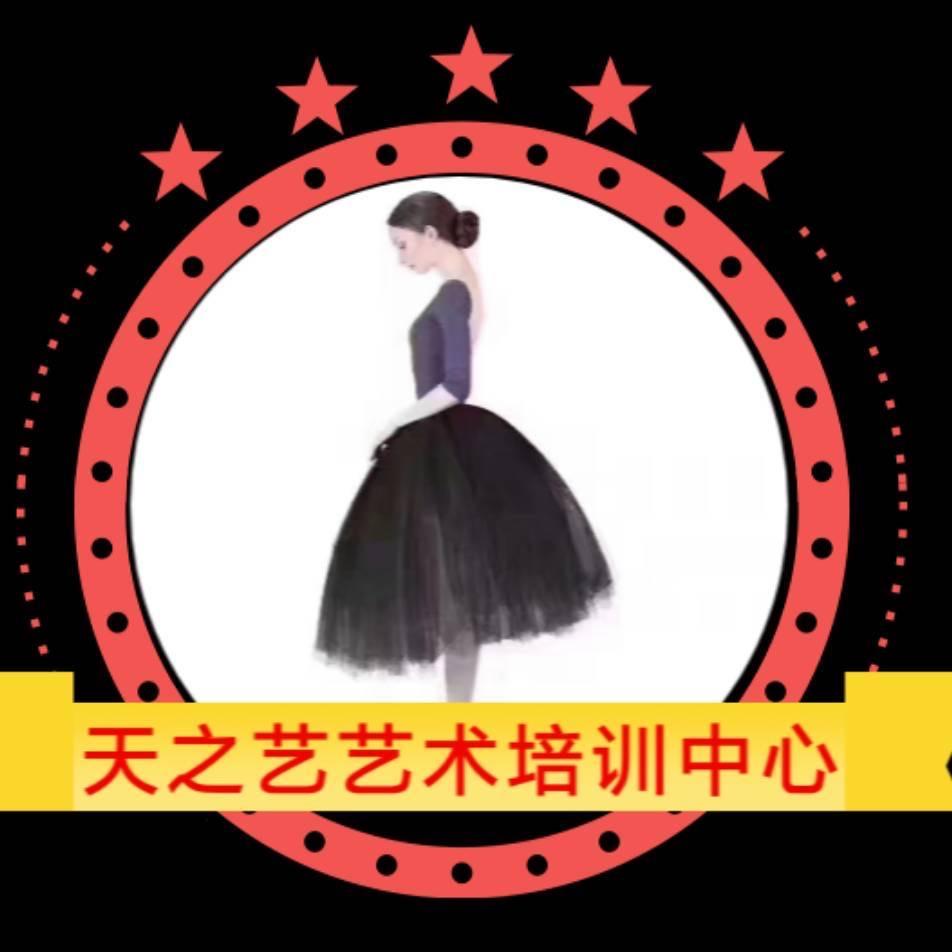 天之艺（招生中）