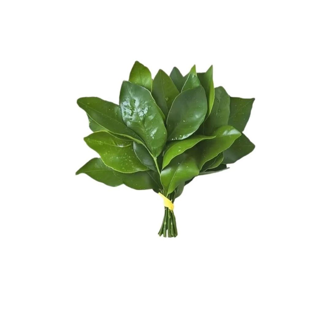 77欧尼