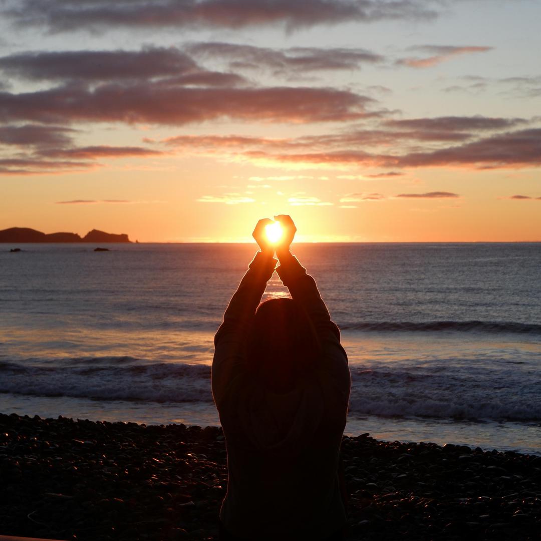 晨晨学姐高分学习