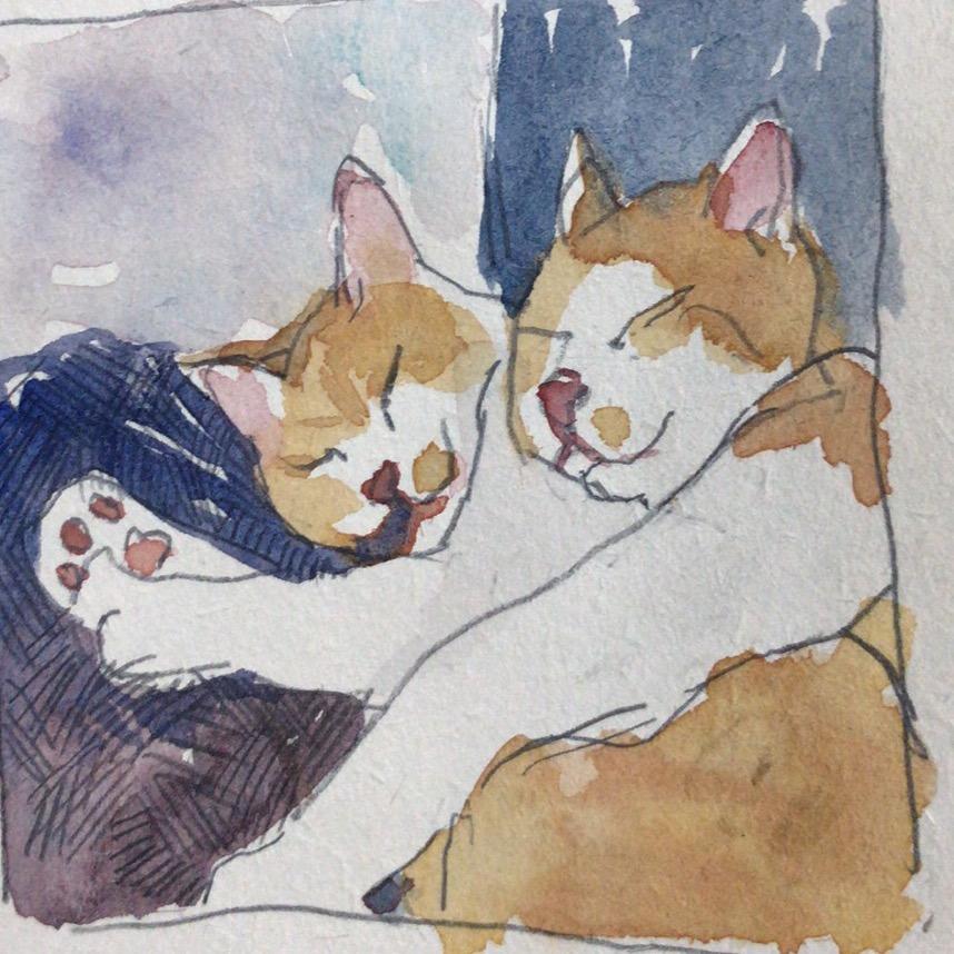 晃晃悠悠