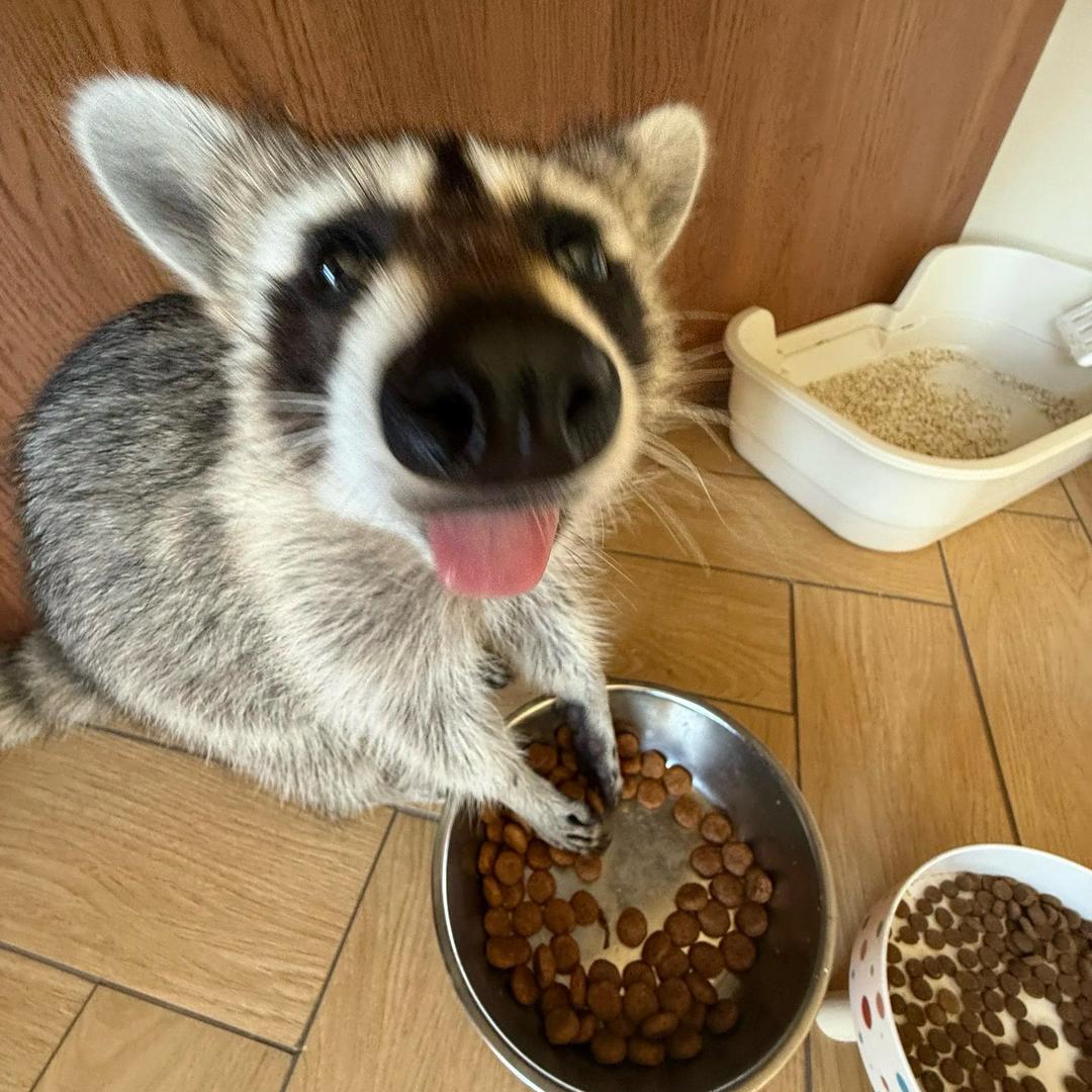 ^ ^