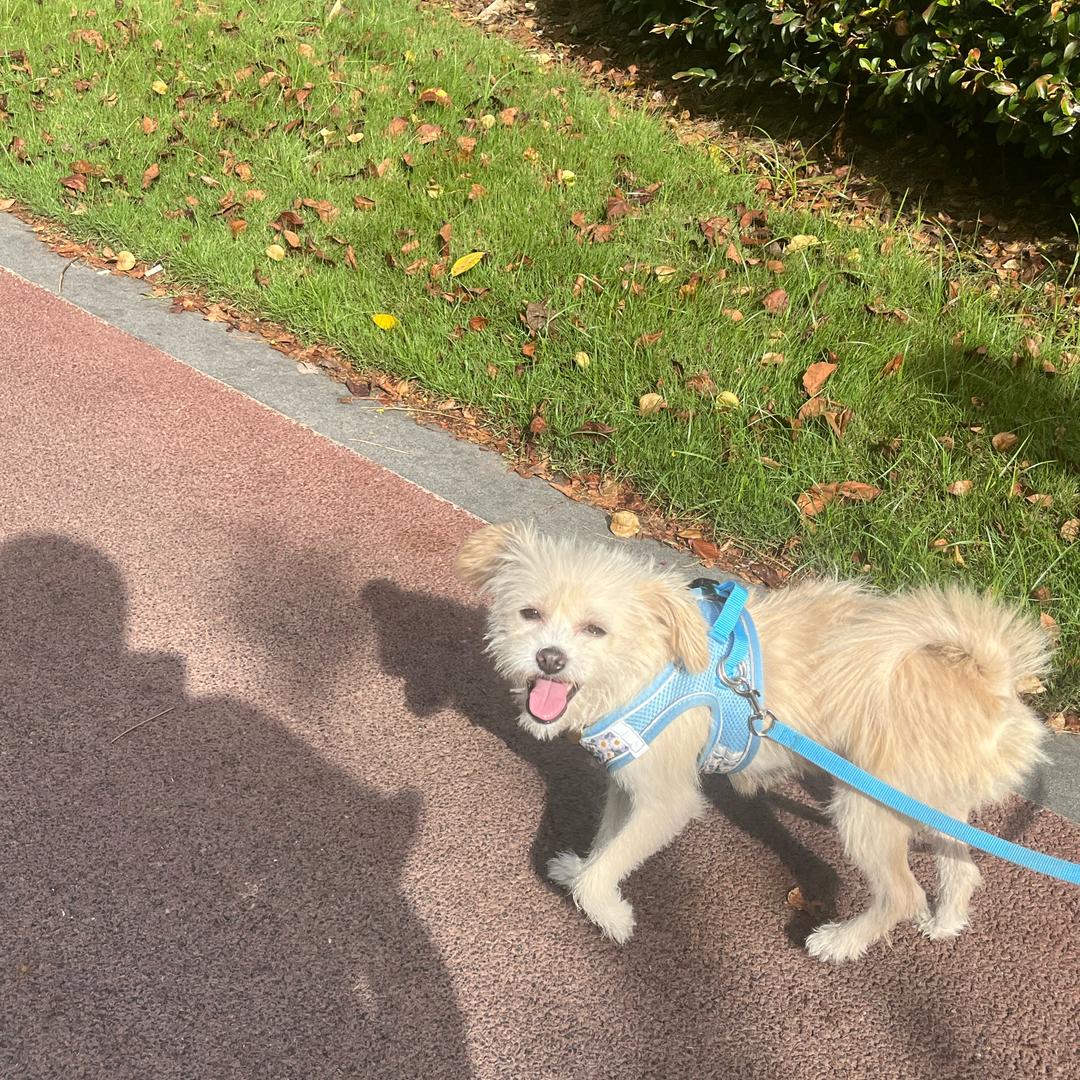 姚彤彤日常生活