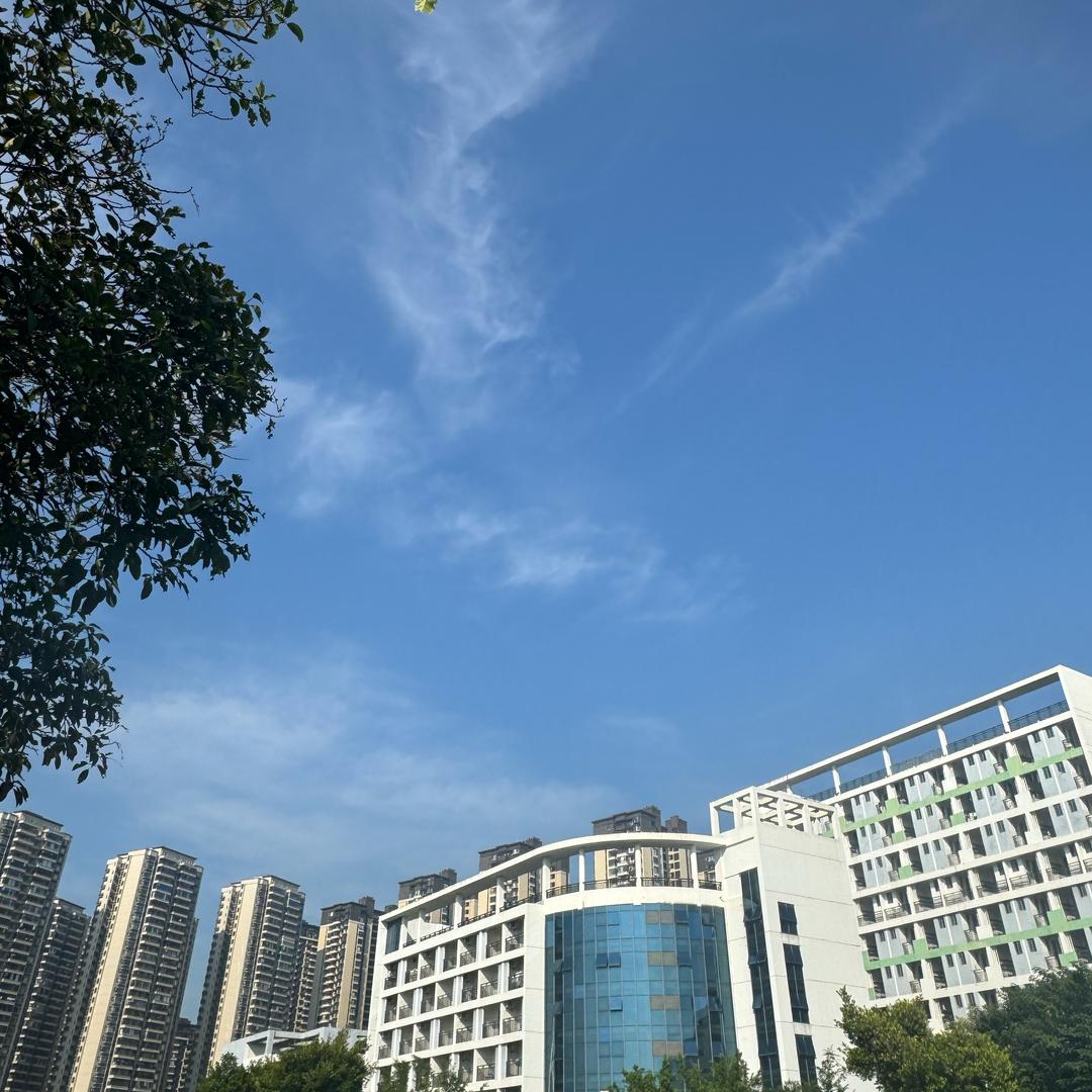 山东青岛漂移版但是是游戏