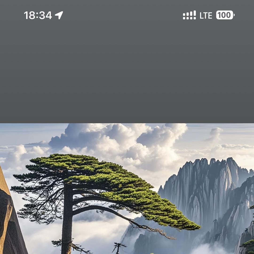 小高庭院景观松