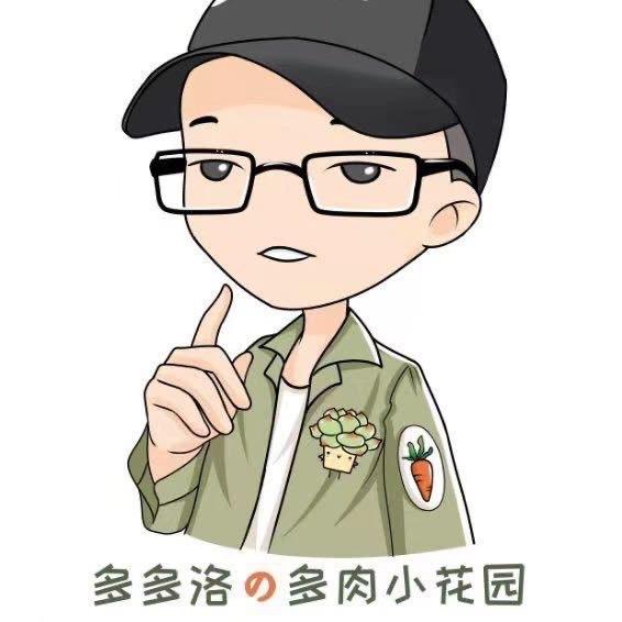 多多洛的多肉小花园