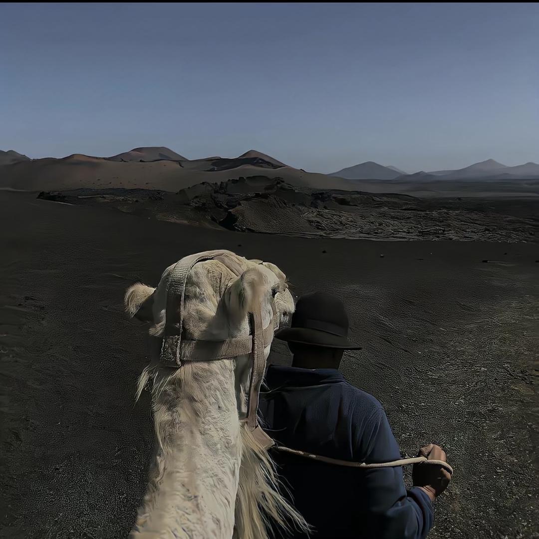 ㅤㅤㅤ ㅤㅤㅤㅤ ㅤ