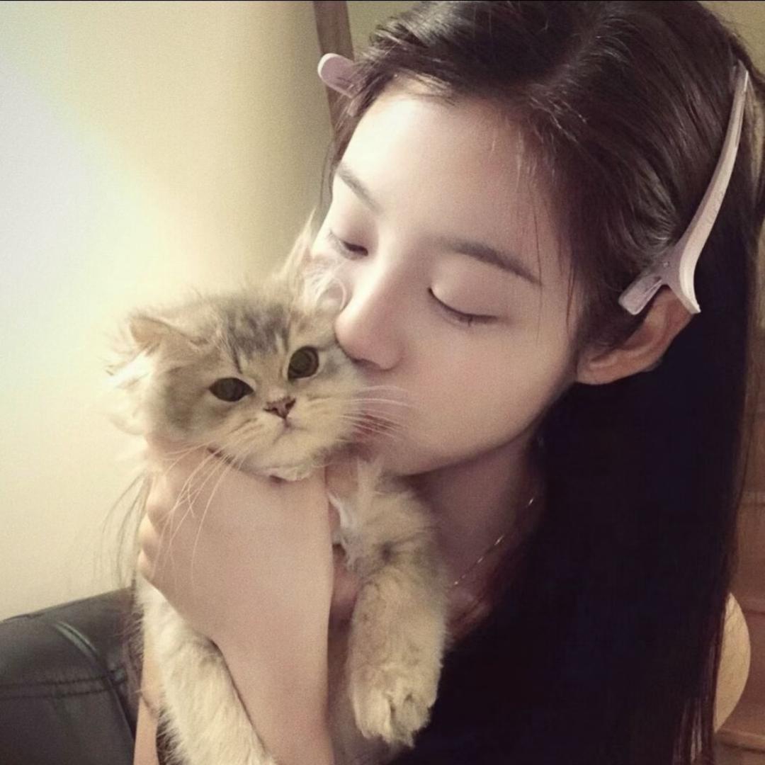 美美