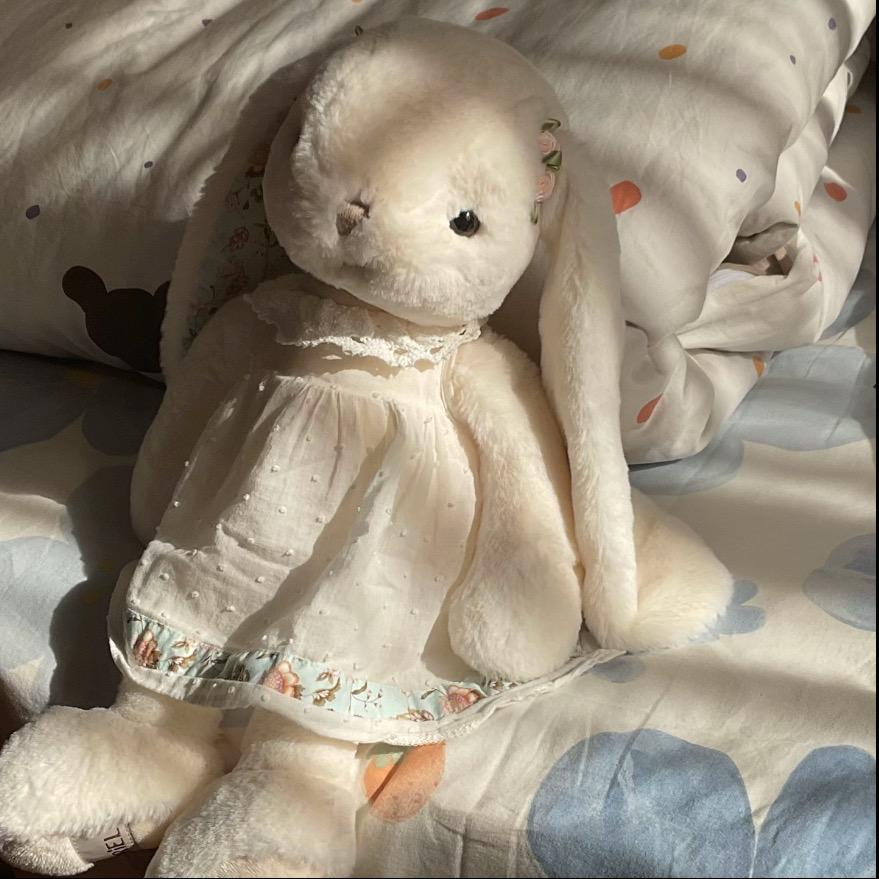 ₊˶᳐宅系小呆郁˶᳐੭ﾞ₊🐾