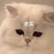 护妻达人温栀栀头像