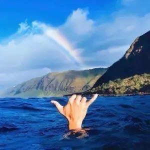 ✨玩世不恭¹¹⁰⁷