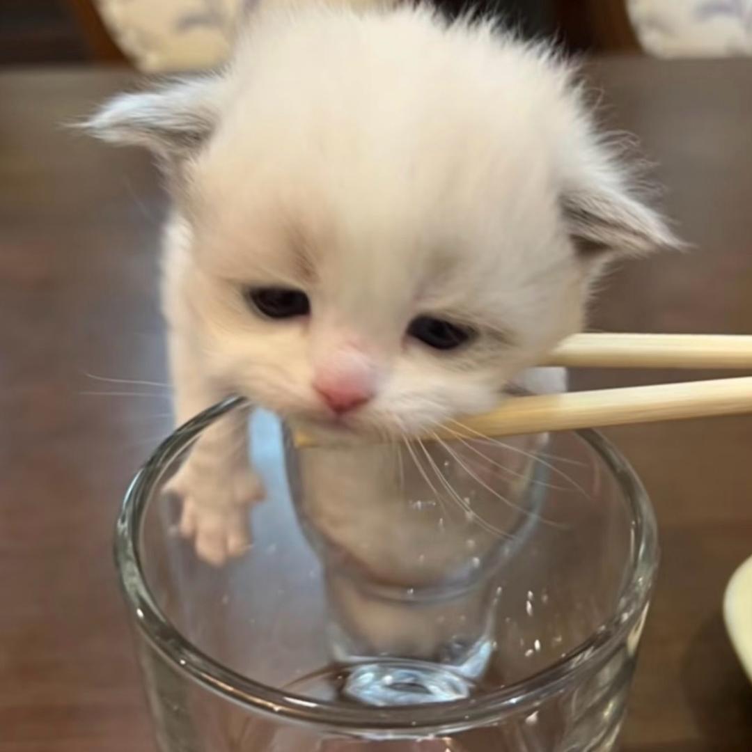 无乃鸭声第一人