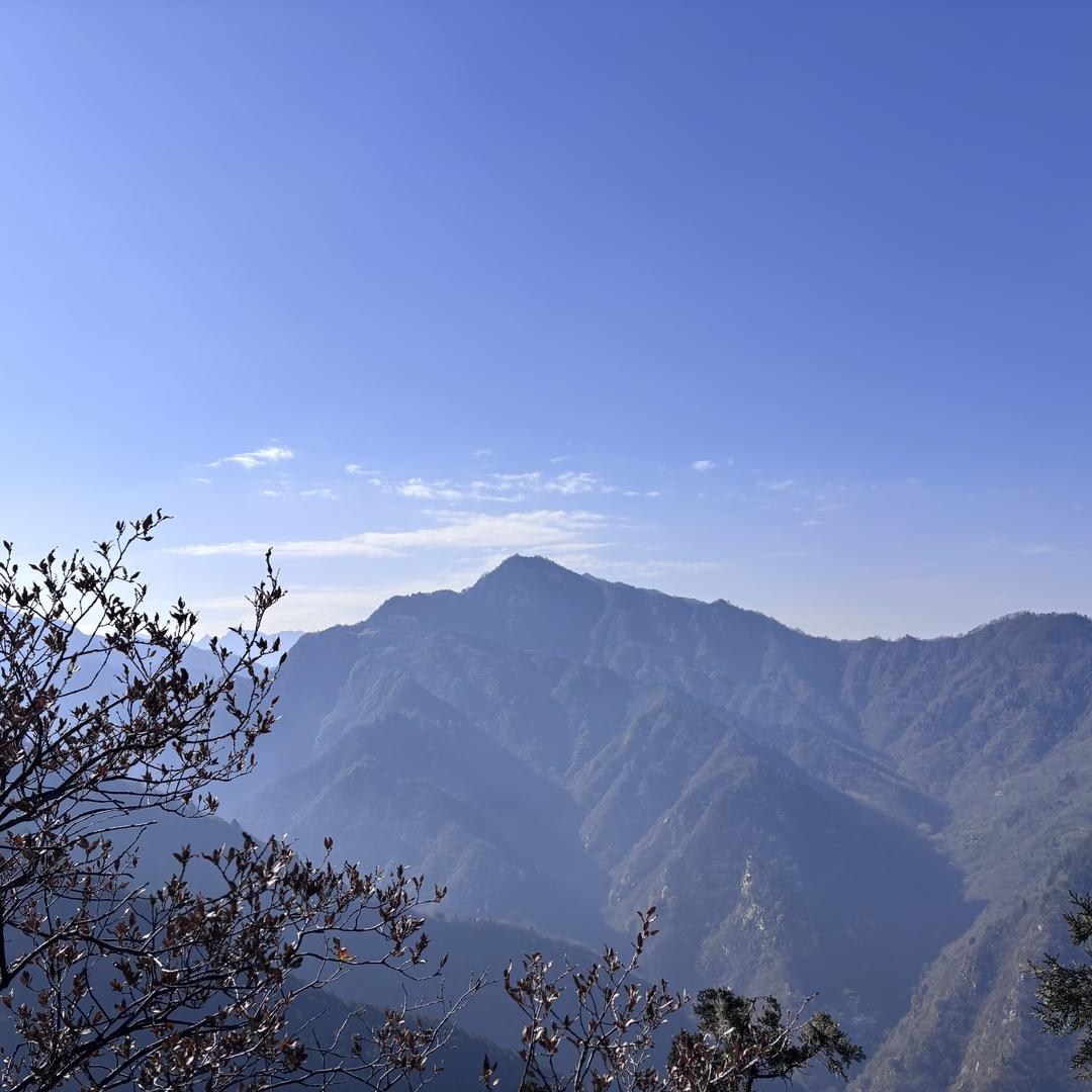 没有动态就是在好好生活