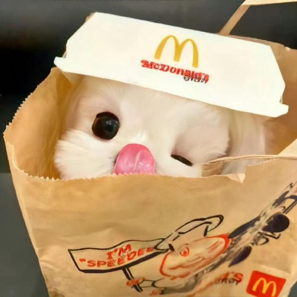 趙趙
