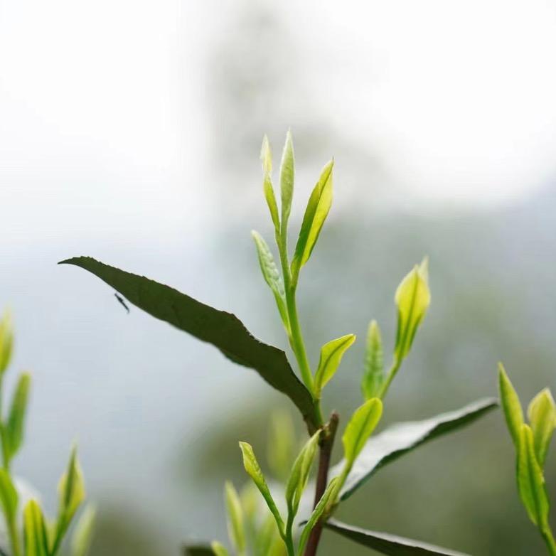 拼命  👣  奔跑