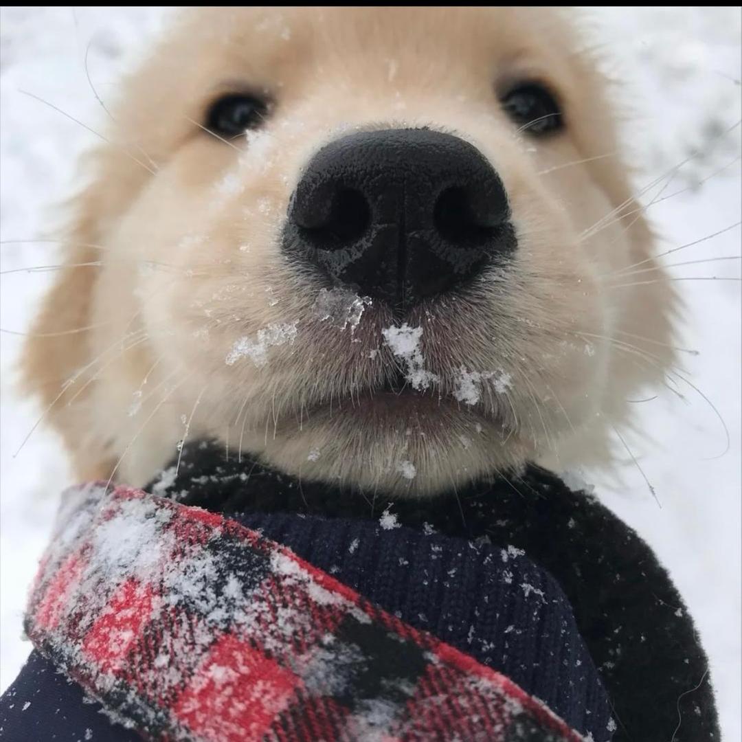 2727