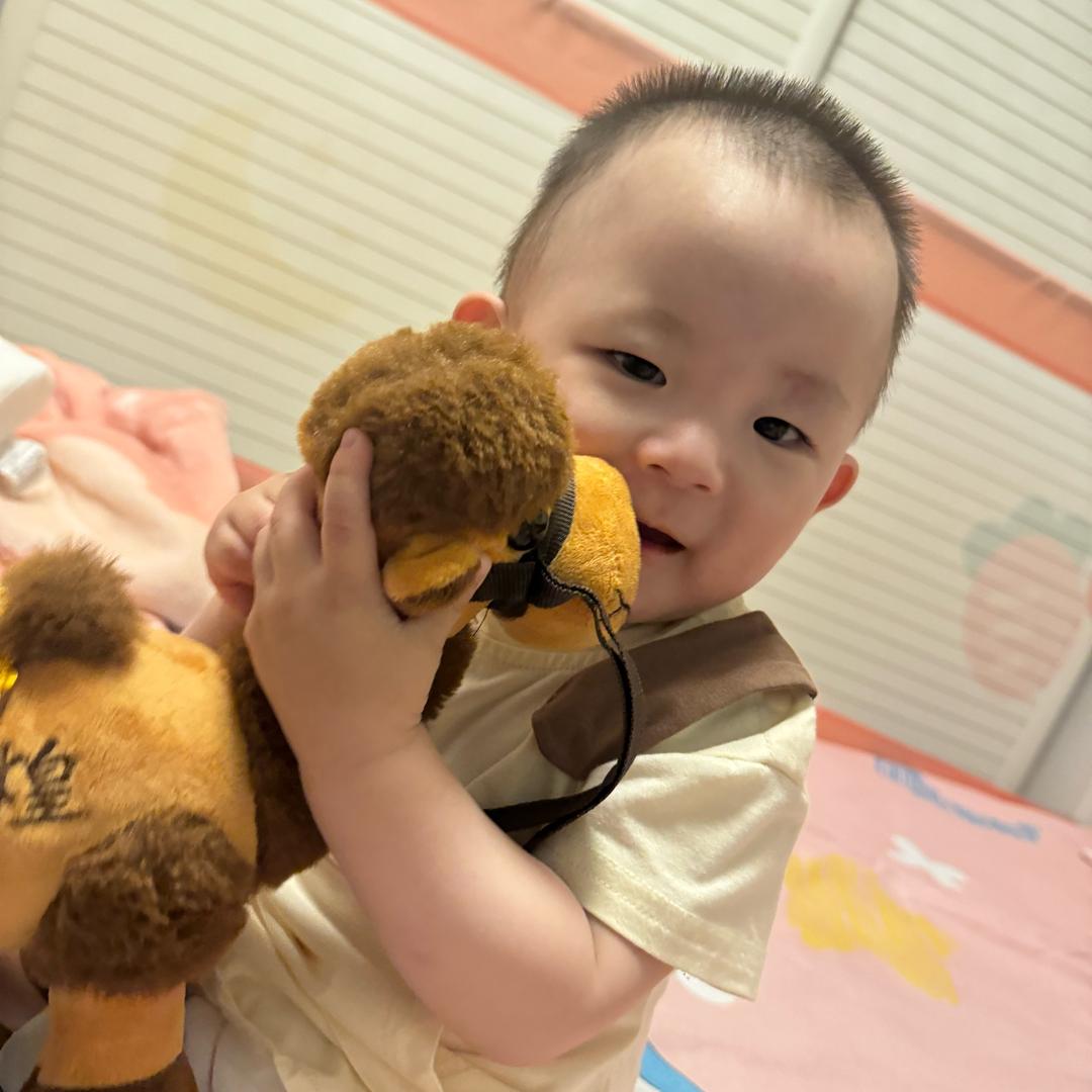 贾小璇
