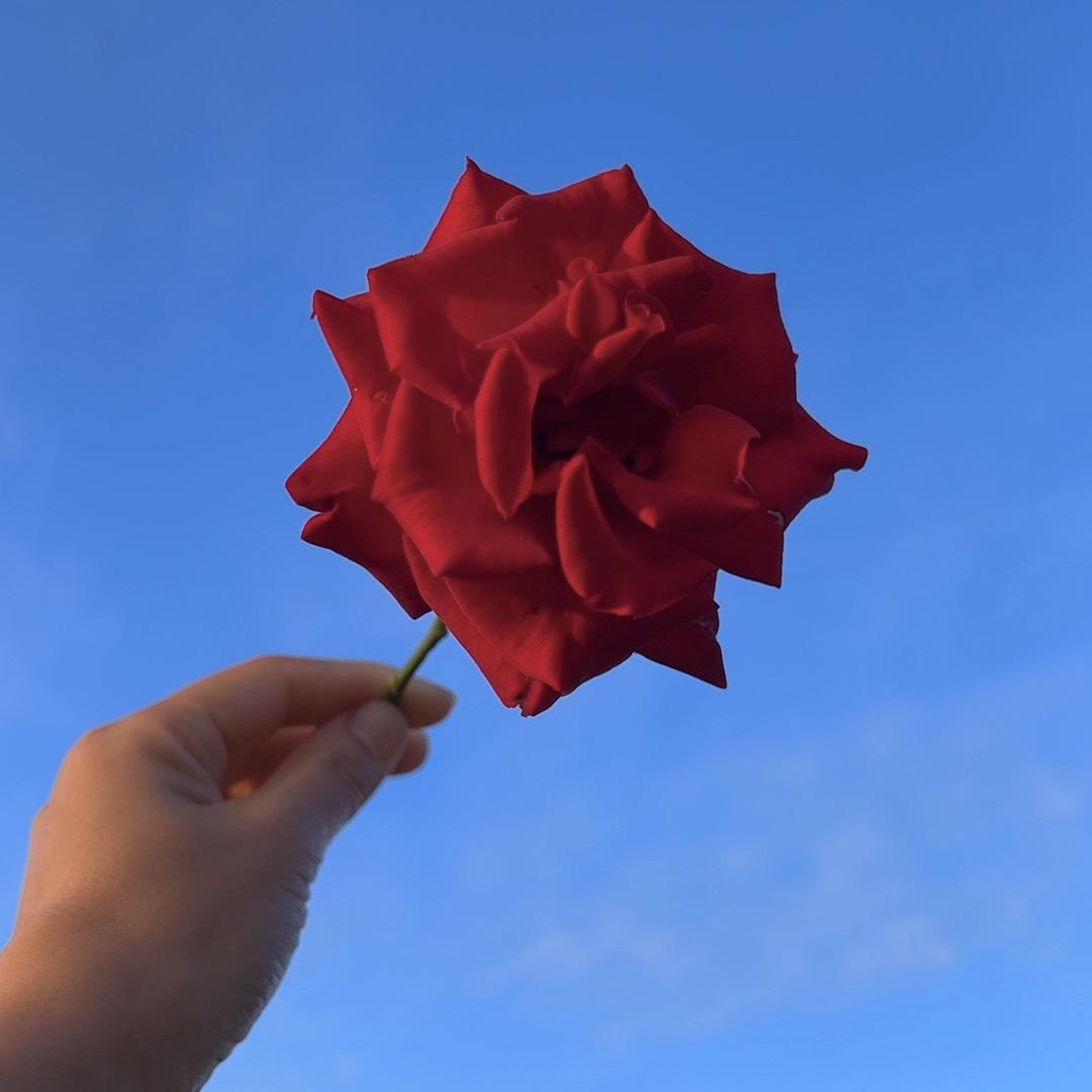 敏敏美妆