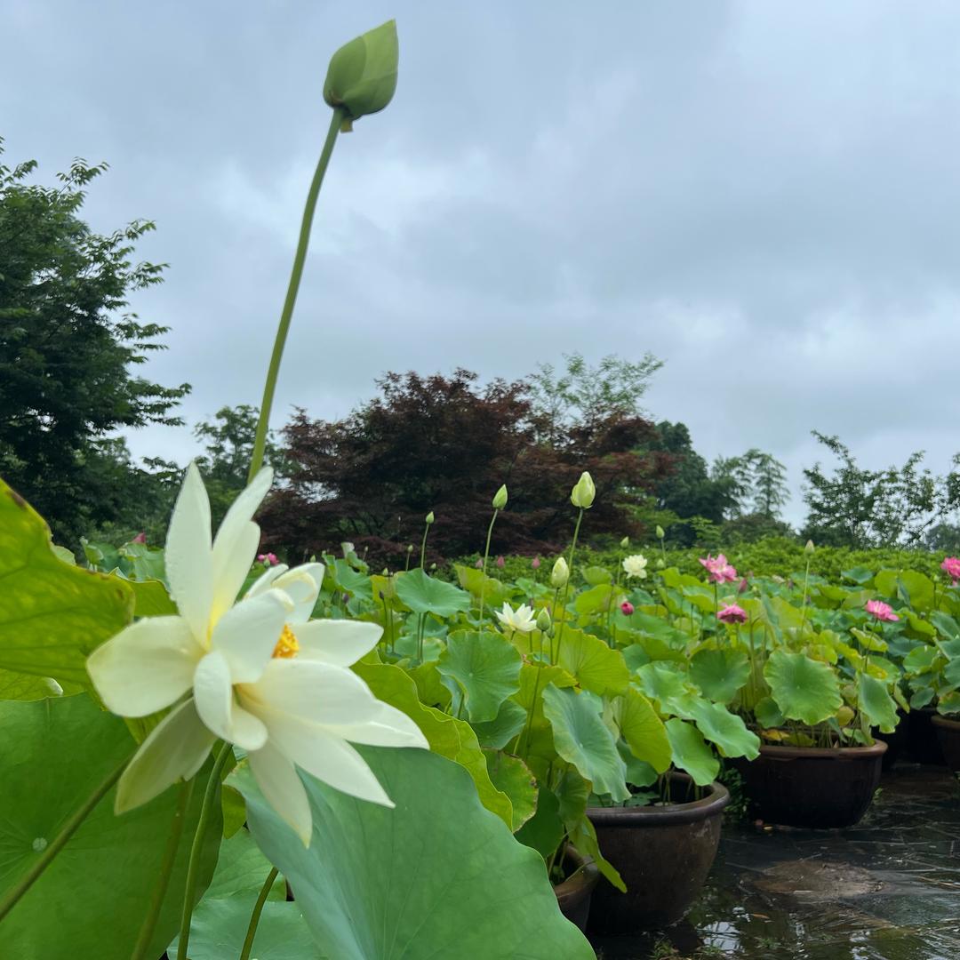 Jiiiiiiiiixiiiiiiiii