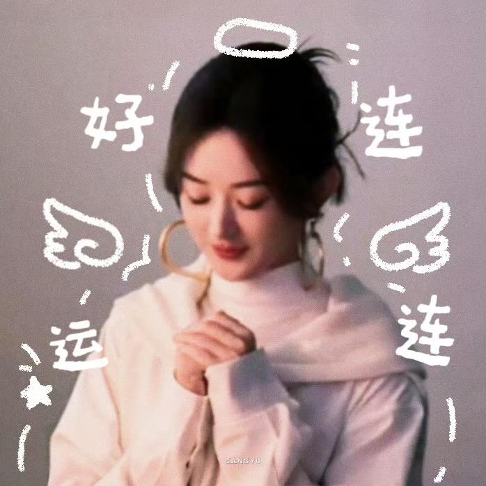 岚岚 见过赵丽颖版