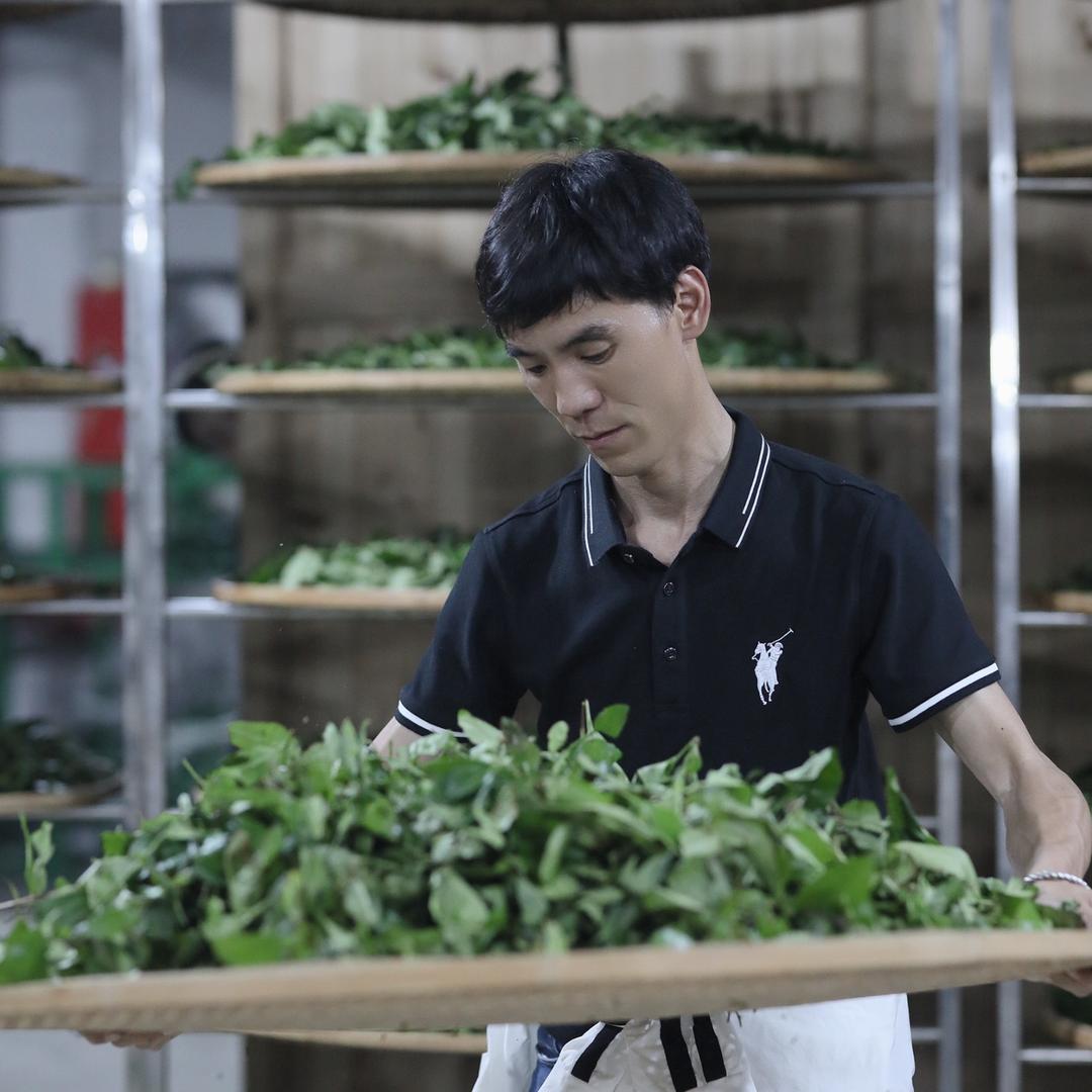 贡枞茶业（阿龙）