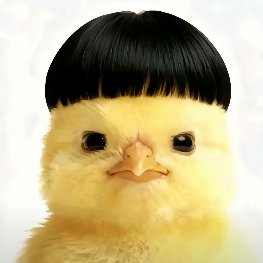 蜘蛛给我关门！