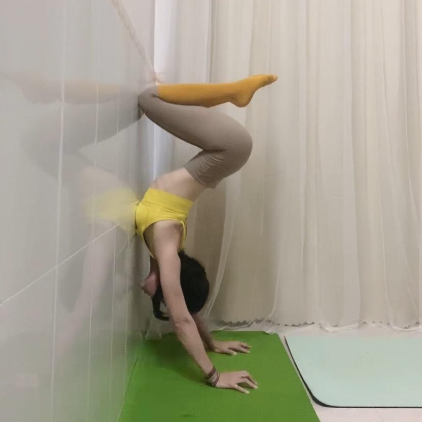 宁励榕（五指毛桃加工厂）