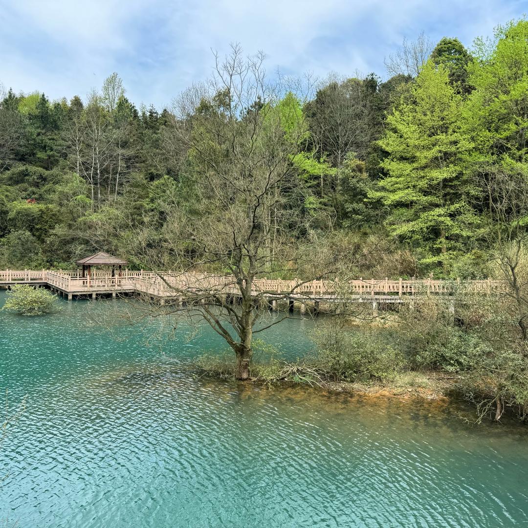 人生不过一场梦