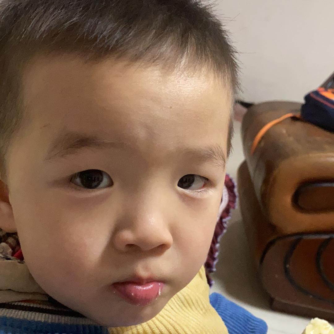 霸波儿本