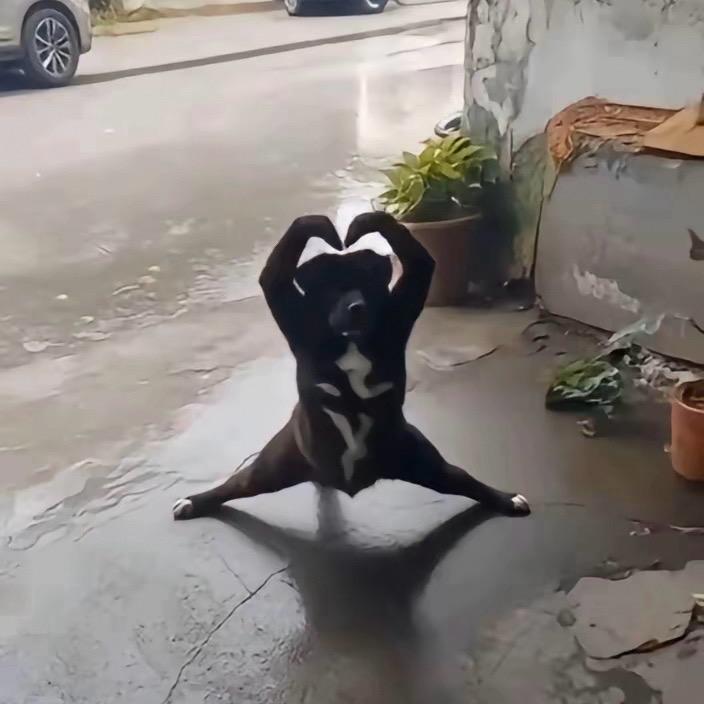 老虎拳击（德清）