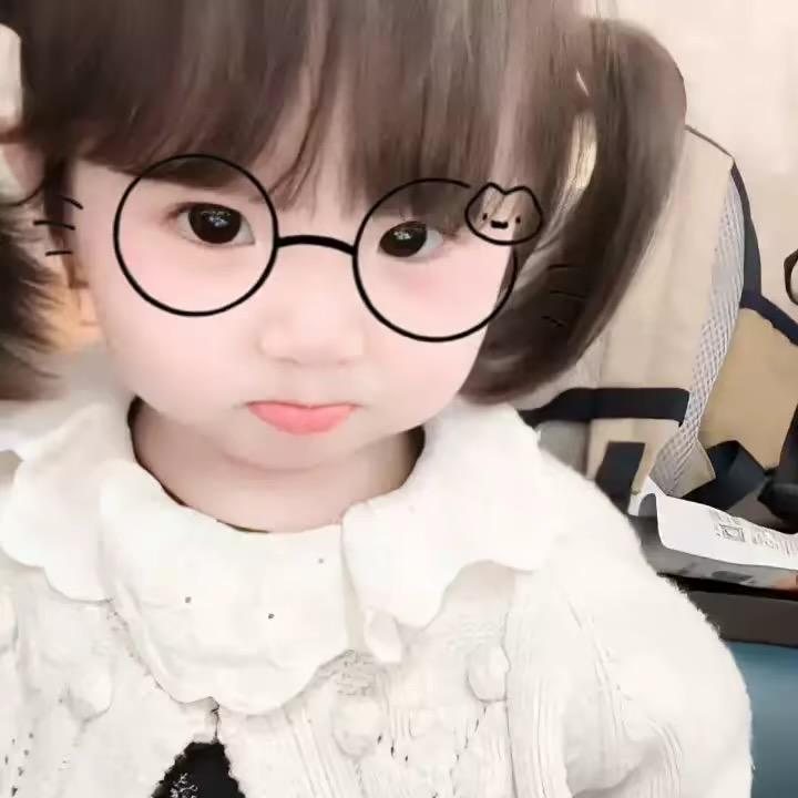 呆猫.