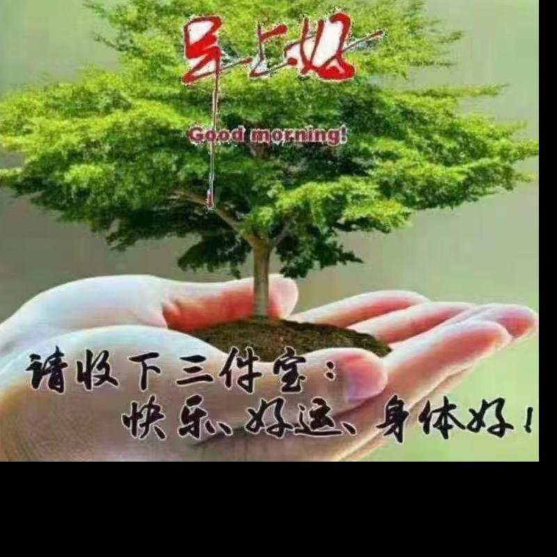 陈静茹