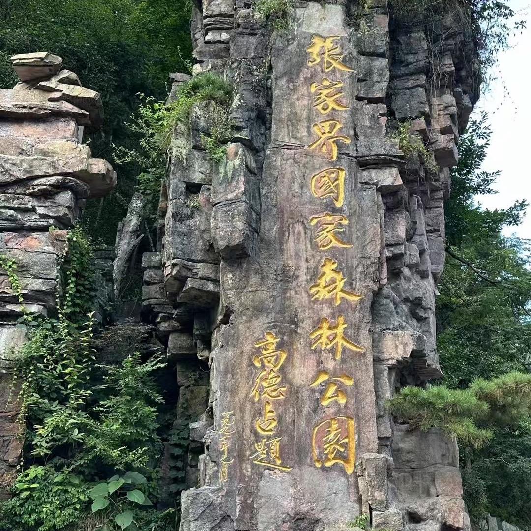 凯迪