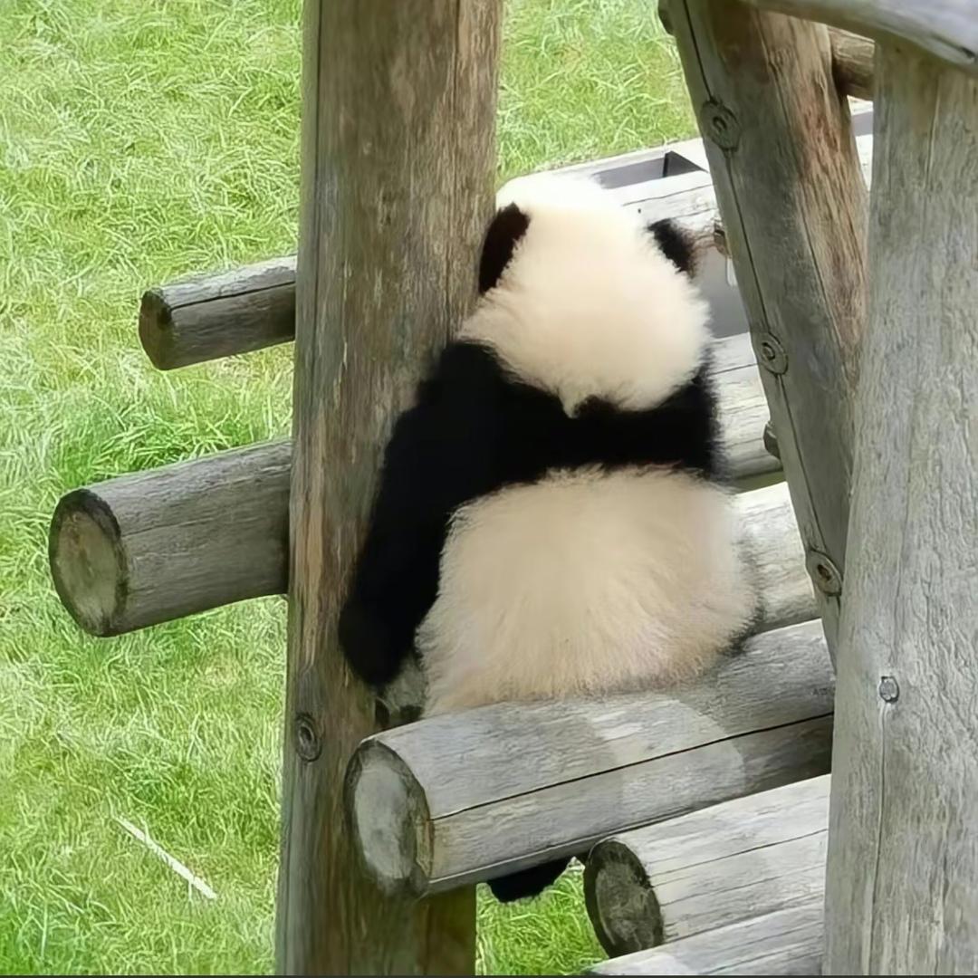 ,平安