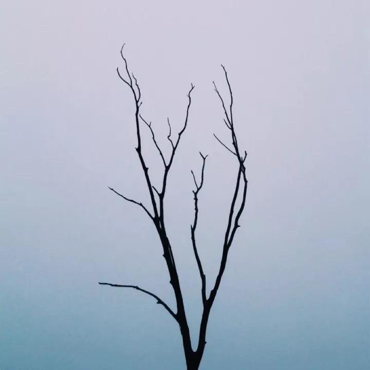 水水