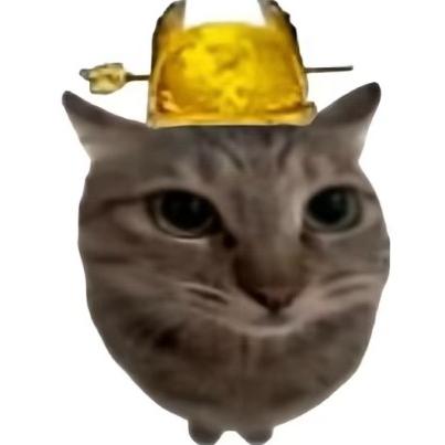 lttg