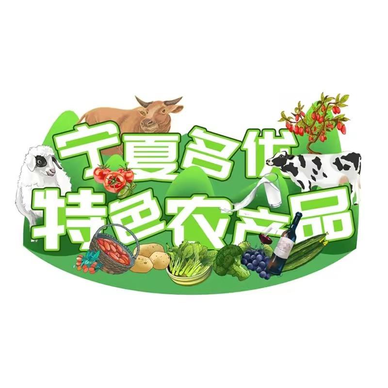 宁夏滋补好物（名优特色农产品展销中心）