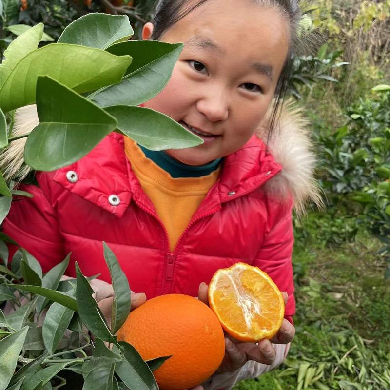 仁佐水果