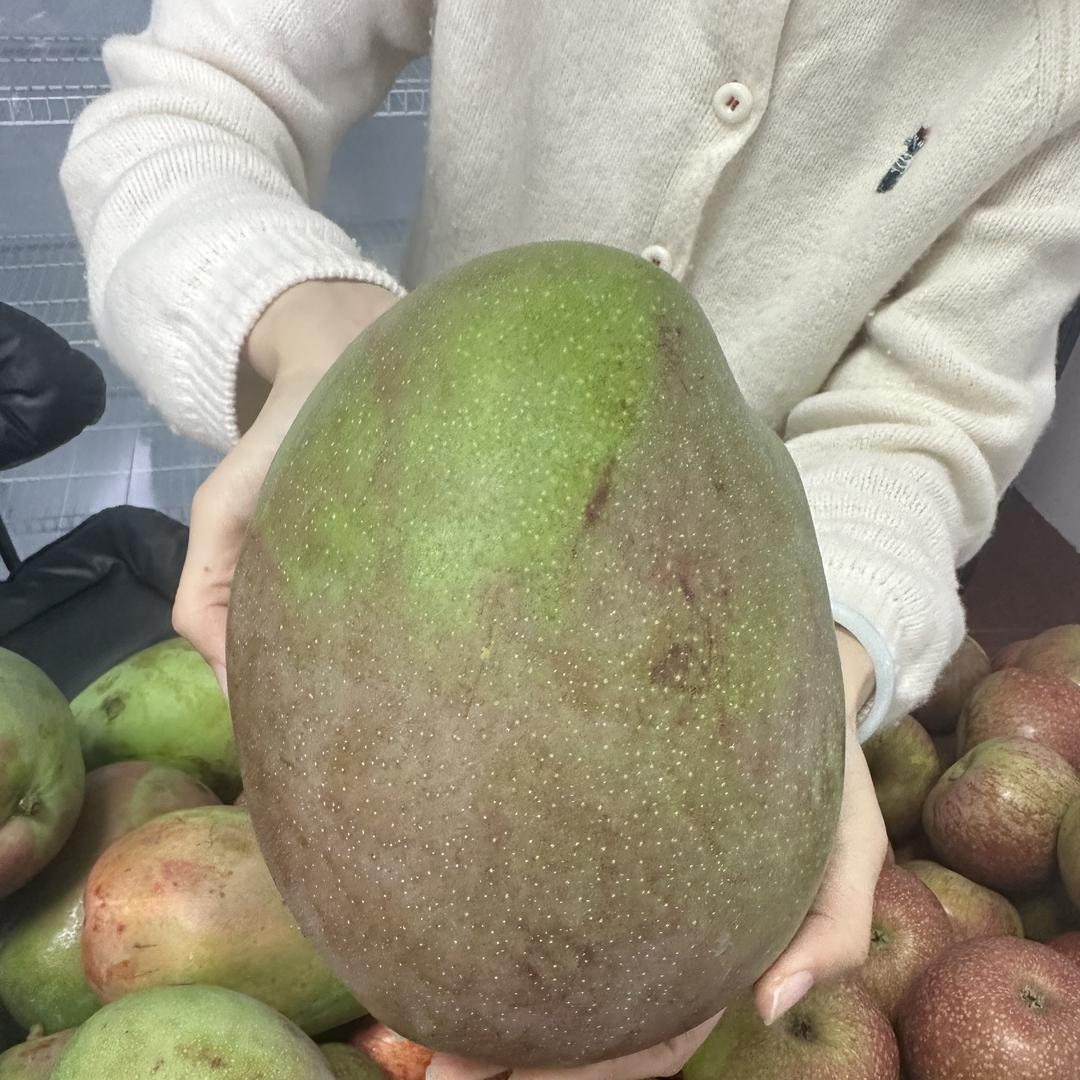 盛泓嘉国际综合好货店